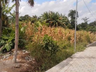 Dijual Tanah Kavling Premium 
Lokasi - Lukluk, Mengwi