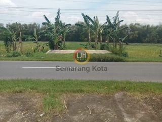 Jual Kavling Luas Gabus Pati