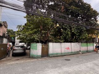 Prime 805 sqm San Juan Street Property in Pasay City with Wide Road Frontage and Commercial Potential