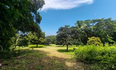 3.6 Hectares Farm land in Lian Batangas nice view
