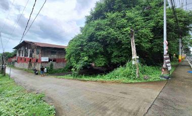 FOR SALE 2,488 SQM HIGHWAY-FRONT COMMERCIAL PROPERTY CANDELARIA, QUEZON