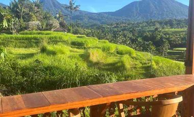 Villa dan restorant penebel tabanan bali