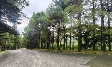 CROSSWINDS SUBDIVISION | 4 ADJOINING LOT FOR SALE IN TAGAYTAY CITY.