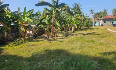 450 SQM Clean-Titled Lot for Sale – Dauis, Panglao Island, Bohol