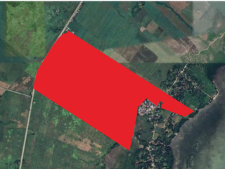 1,346,405 sqm Lot​ for Sale in Medellin, Cebu