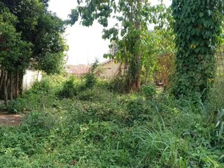 Dijual Tanah Hegarmanah 133 m², Rp530 Juta Nego!