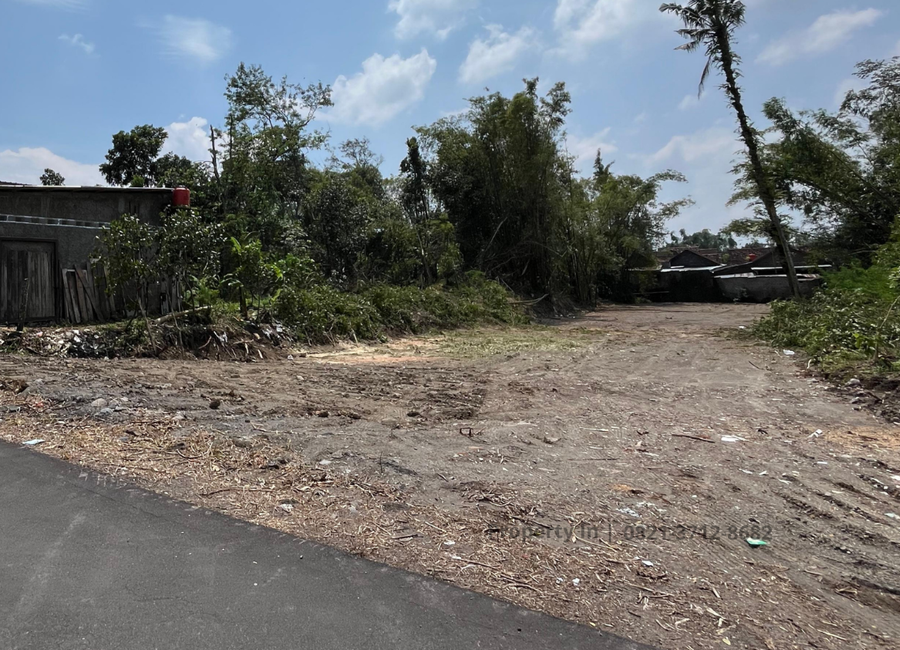 place photo 3