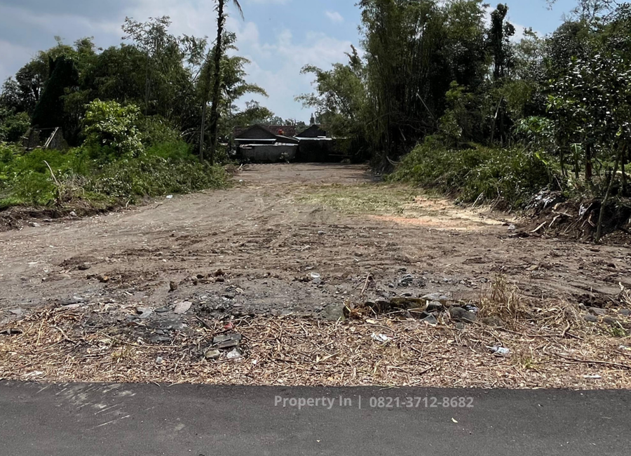 place photo 6