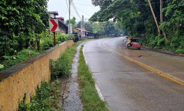 4.5M Clean-Titled Lot For Sale in Pugo, La Union | Marcos Highway - LSS