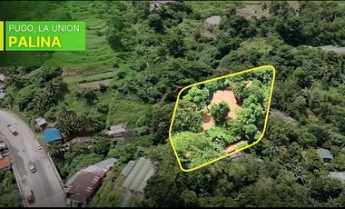 30.8M Agricultural Lot in Pugo, La Union | 5,600 sqm For Sale - LSS