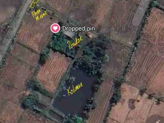Jual Tanah Subur di Blang Bintang