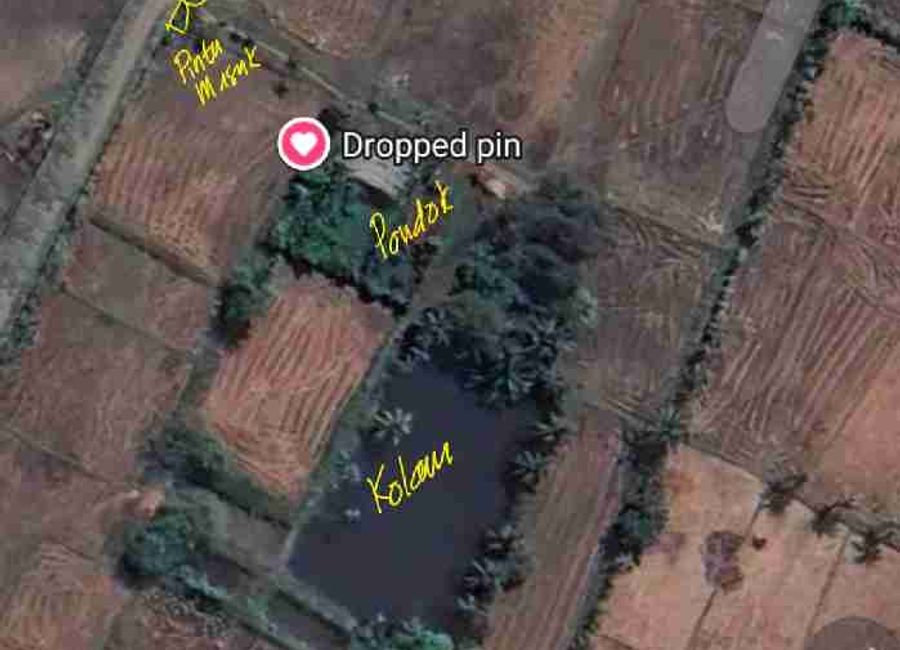 place photo 1