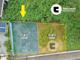 Flat 315 sqm Residential Lot for Sale — Pinewoods, Spruce Bend St., Baguio City