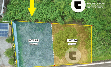Flat 315 sqm Residential Lot for Sale — Pinewoods, Spruce Bend St., Baguio City