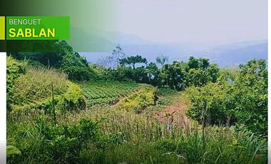 Agricultural Land For Sale in Sablan Benguet – ₱3,500/sqm - LSS