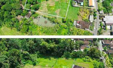 DIJUAL TANAH STRATEGIS – MEGATI, SELEMADEG, TABANAN BALI