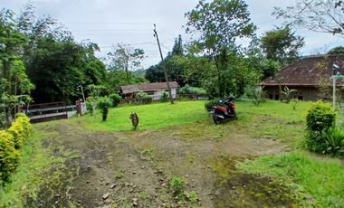 🌿 LAHAN LUAS DI JONGGOL – BOGOR 🌿