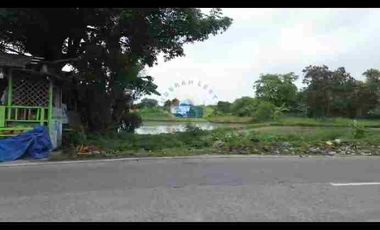 Jual Tanah Di Jl Raya Tobat, Balaraja Tangerang - Banten