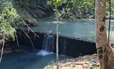 dijual tanah los sungai jernih berbatu lokasi sangat strategis dekat dengan jalan denpasar gilimanuk dijual di bawah harga pasar