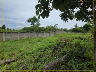 FOR SALE: Prime Elevated Lot at Amara