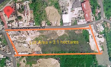 Commercial Land for Sale | 31,210 sqm | Paknaan, Mandaue City, Cebu