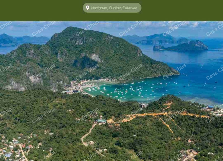 place photo 21