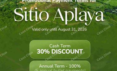 Lio Beach Commercial Lots  L Nido Palawan