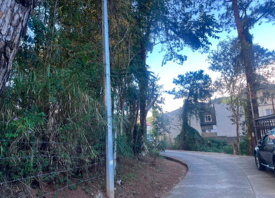 place photo 9
