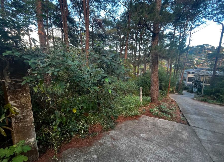 place photo 12