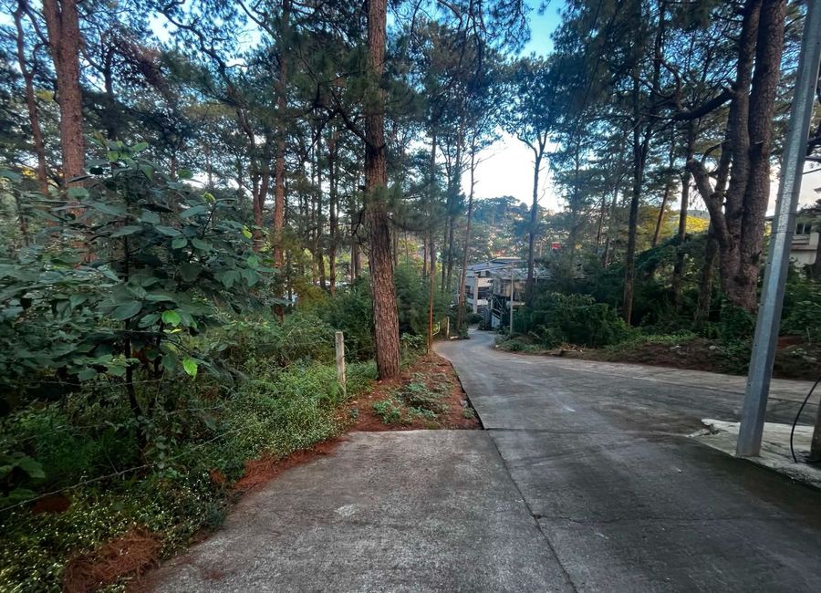place photo 14