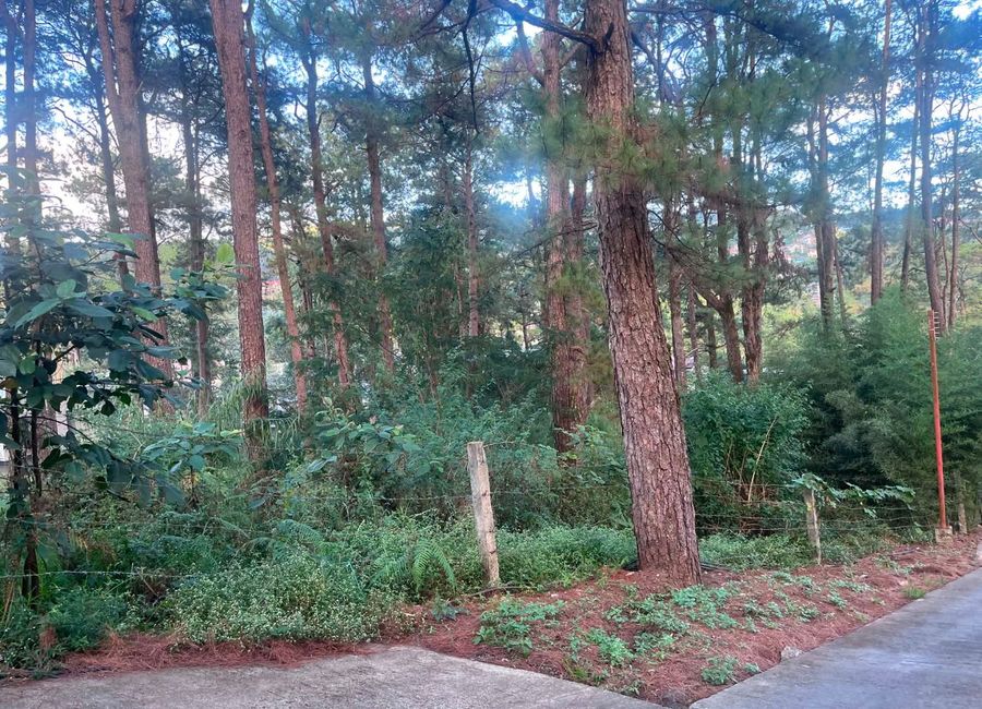 place photo 15