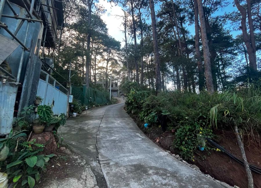 place photo 18
