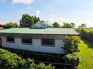 Maliwalo Farm Lot w/ Established Fruit Bearing Trees for Sale in Bacolor Pampanga