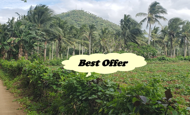 FARM LOT FOR SALE in Laguna Philippines