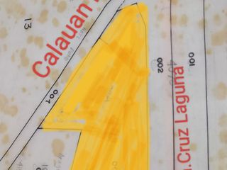 Commercial lot for sale along calauan road and bay Laguna going to Sta Cruz