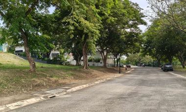 Wedge Wood Heights Silang Cavite Lot for sale 560 sqm