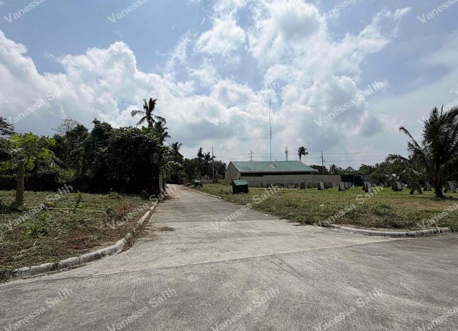 place photo 17