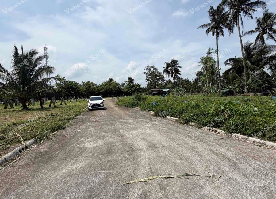 place photo 16