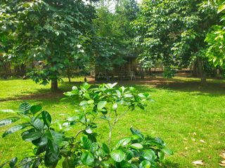 Existing Farm Lot For Sale in Lumban Laguna