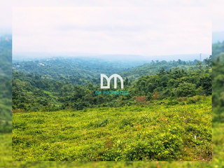 For Sale: Agricultural Lot in Dapdap East, Tagaytay City