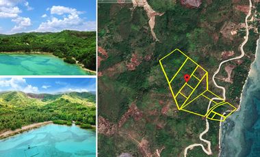 238,306 m2 | Billionaires Beach Sunrise Valley
