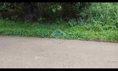 Jual Tanah di Dangdang, Cisauk,  Tangerang- Banten