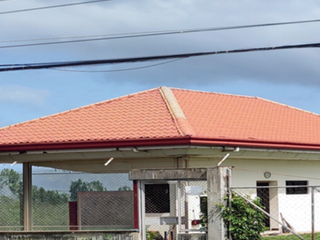 Agricultural Lot for Sale in Caluan Laguna