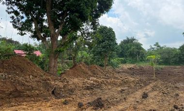 Residential Farm Lot for Sale in Alfonso, Cavite | Near Tagaytay
