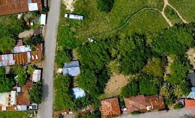 LOT FOR SALE in Biasong, Talisay City, Cebu - 3,346 sqm