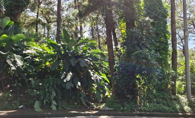 Amparo Heights, Camp 7, Baguio City Lot for Sale