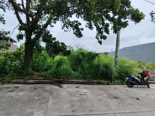 Commercial Lot for Sale in Avida Residences Santa Catalina