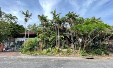 For Sale: Ayala Alabang Village House & Lot at Lot Value