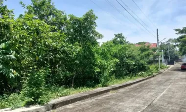 Residential Lot for sale in Compostela, Cebu
