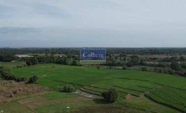 23 Hectares Raw Land for Sale in Samal, Bataan